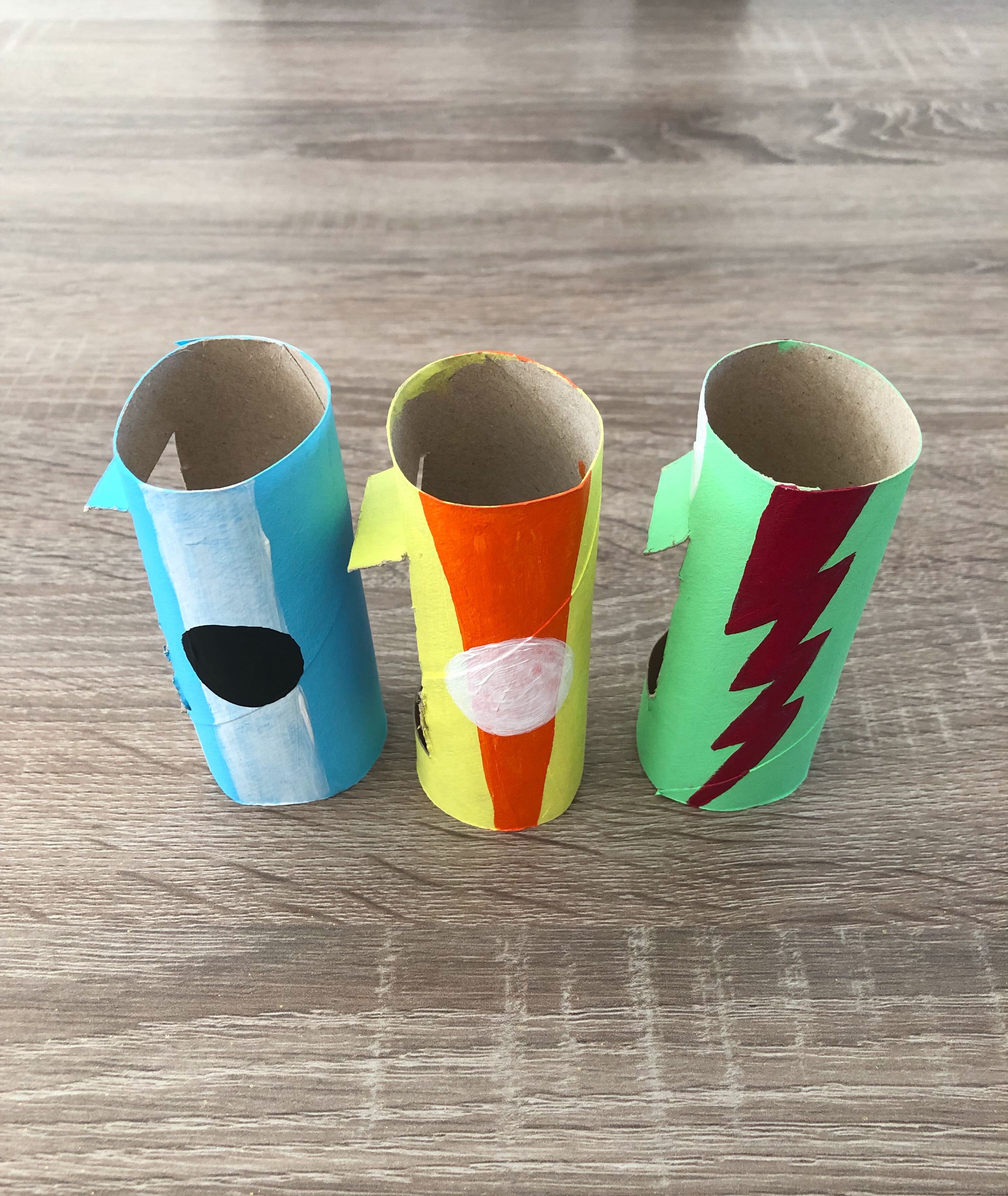 toilet paper roll painting craft