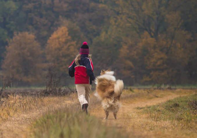 Dog and child hiking