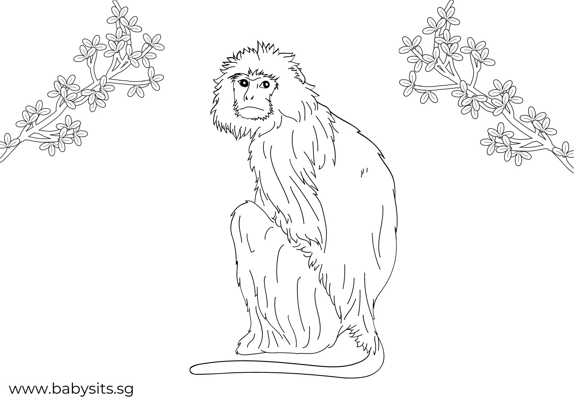 Langur colouring page