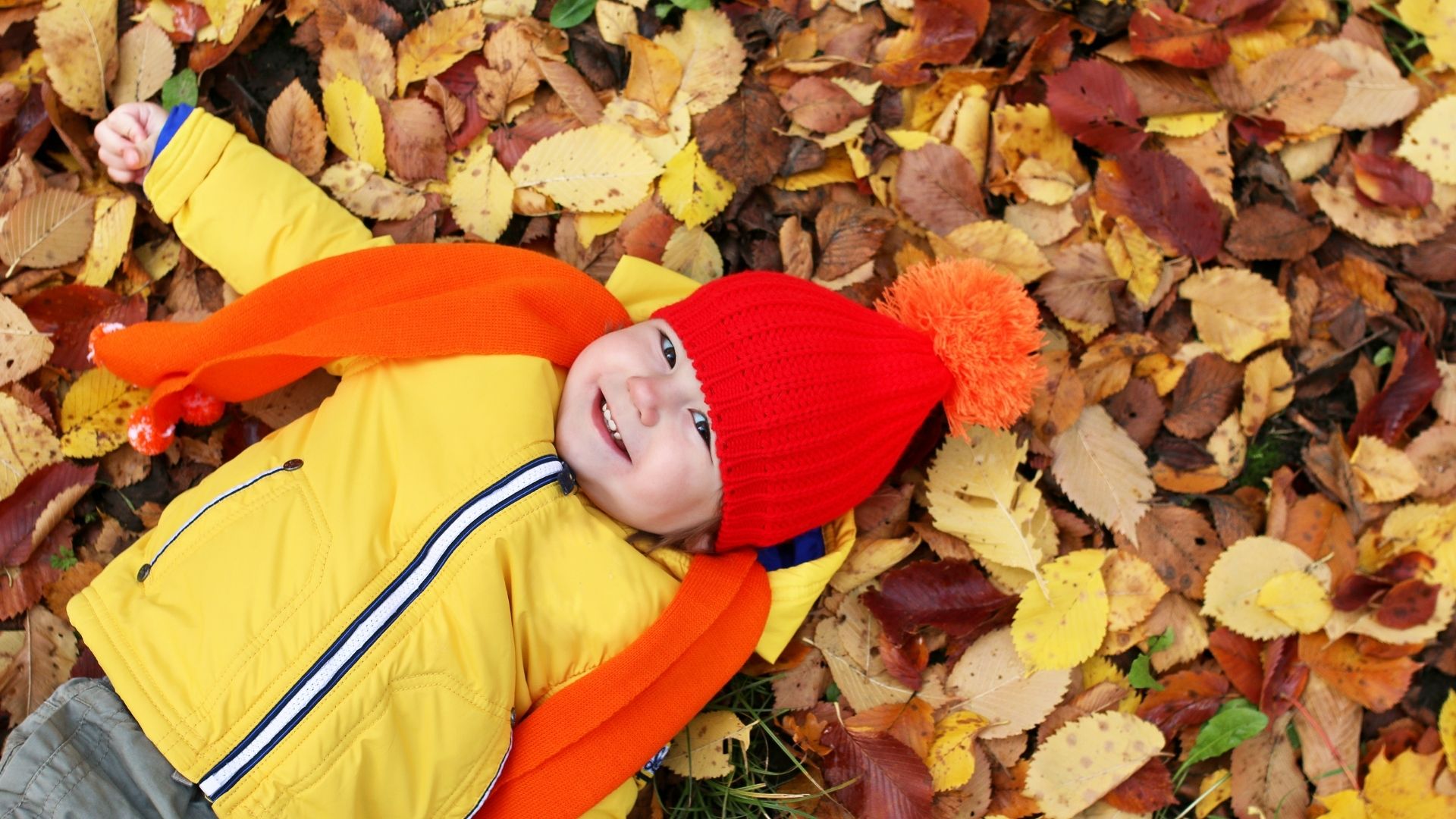 Passeio no parque - Outono