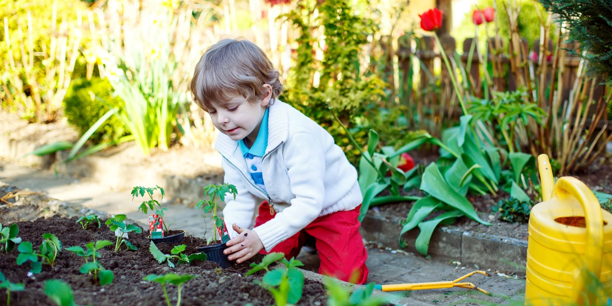 experiment gardening