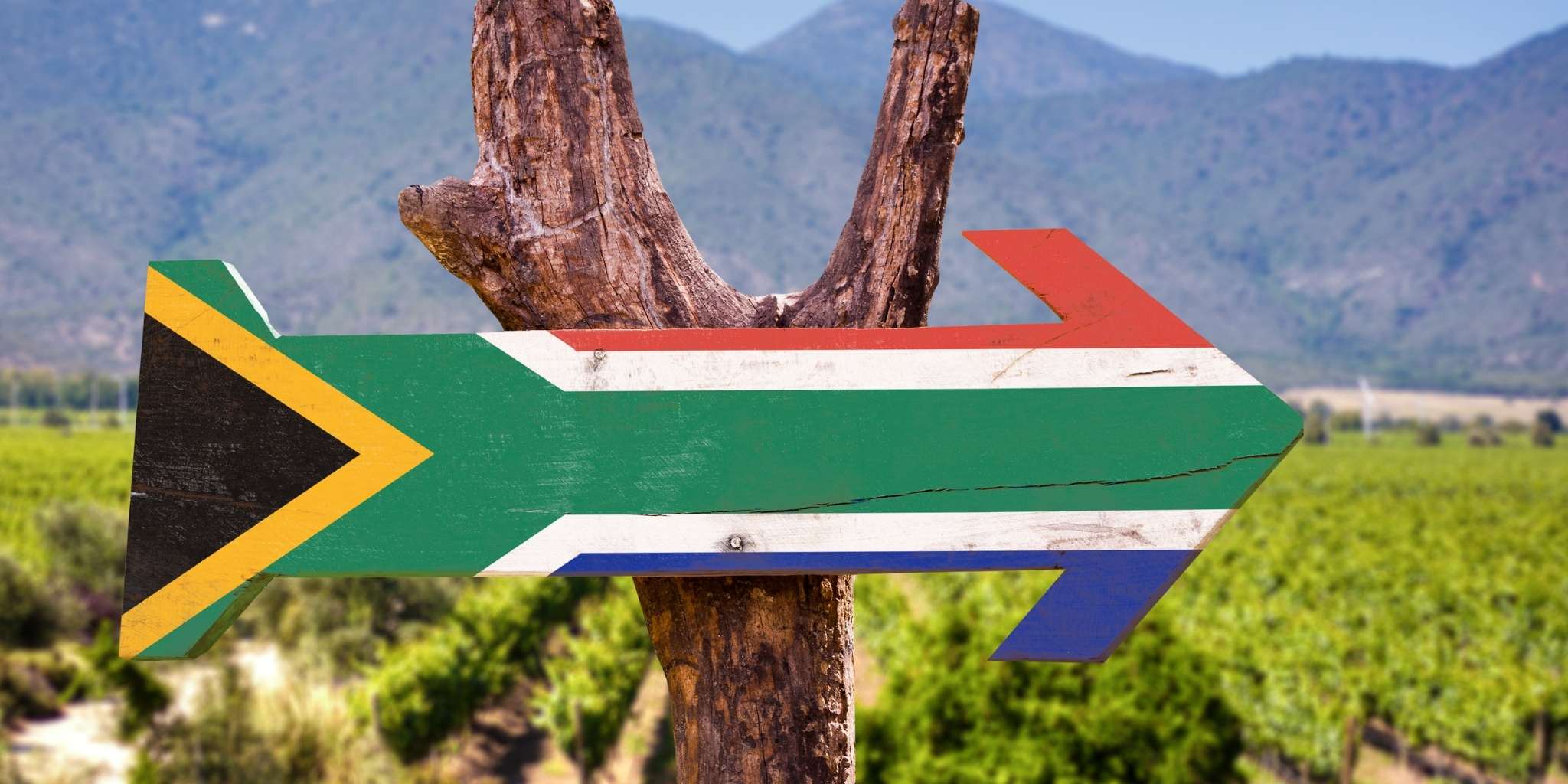 Babysits opens its platform in South Africa!