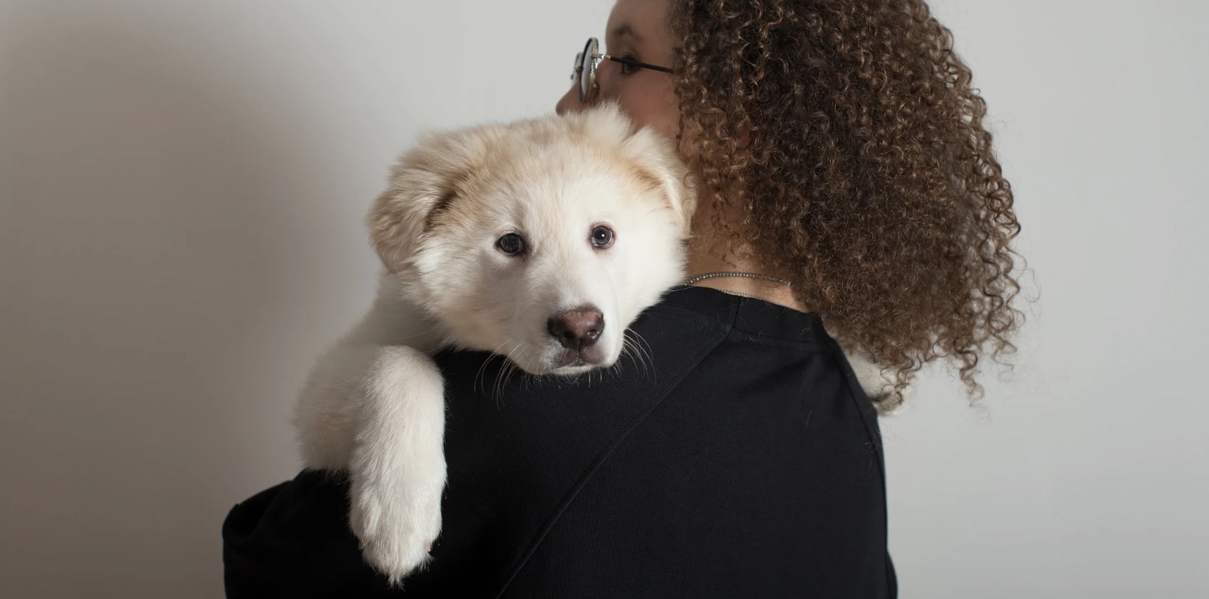 How to find a trustworthy pet sitter