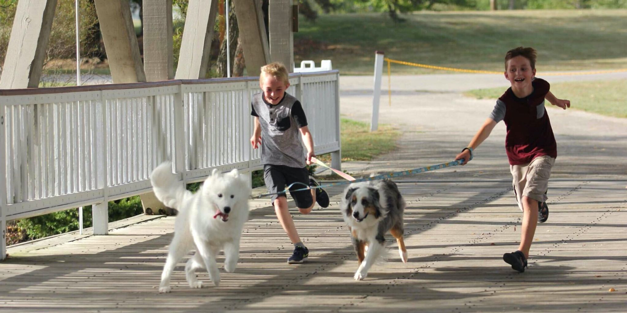 ¡Hacé el cuestionario del perro para la familia!