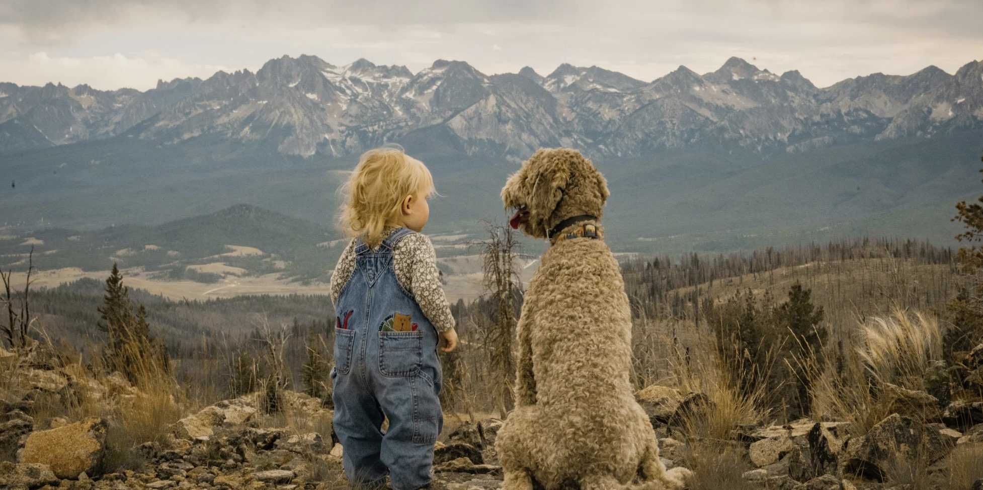 Avantages des animaux de compagnie pour les enfants