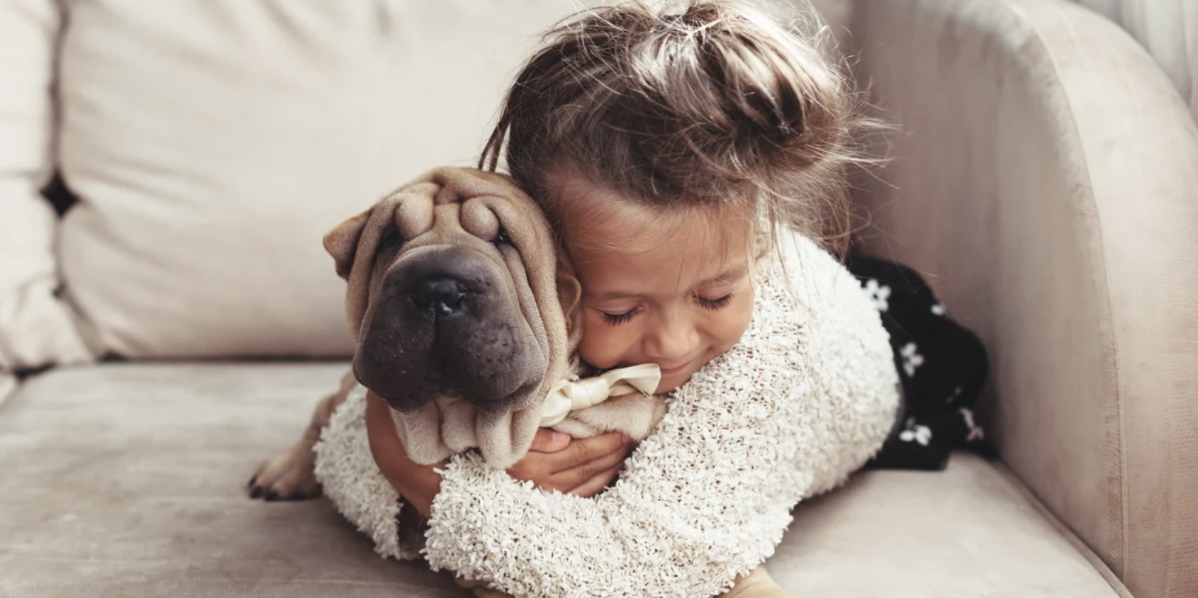 Petsitting ou pension canine : que choisir ?