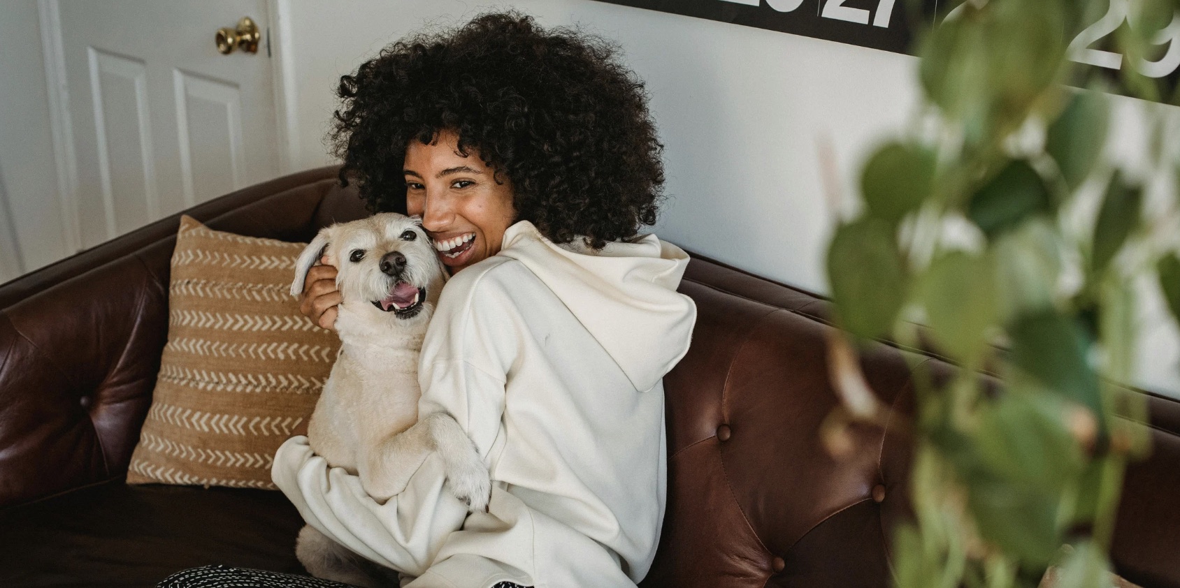 Cosa dovresti chiedere prima di assumere un pet sitter