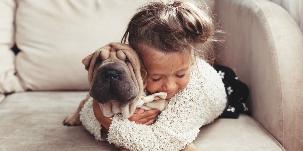 Pet Sitting ou Hotel para animais: Qual é melhor para o seu animal