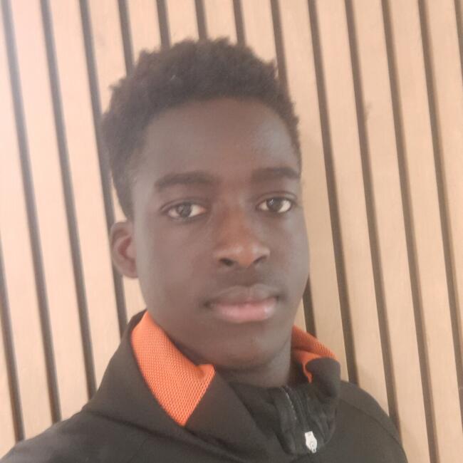 Babysitter in Pontault-Combault: Aboubacar