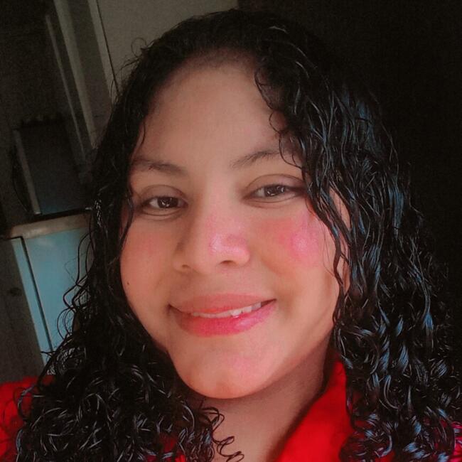 Babá em Curitiba: Del valle Hernández