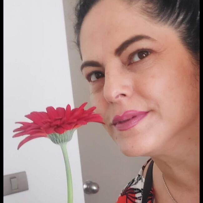 Babysitter in Ovalle: Lily