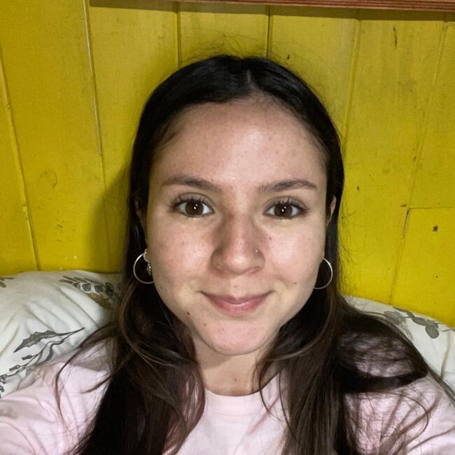 Babysitter in Valdivia: Rocio