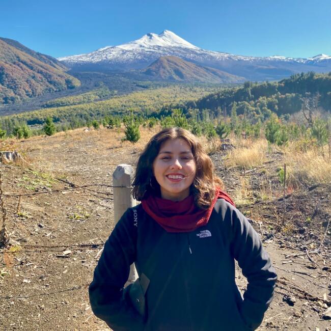 Babysitter in Quilpué: Valentina Suárez