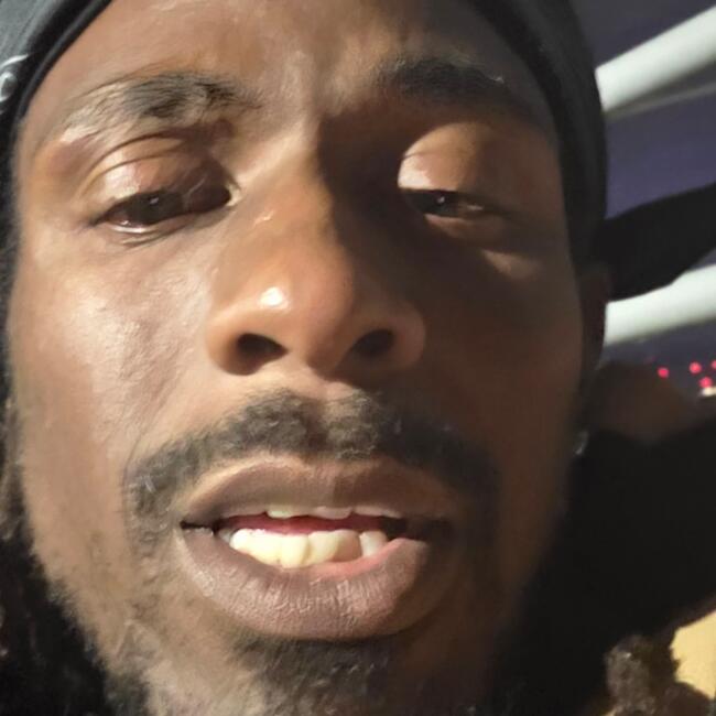 Babysitting job in Arlington (Virginia): Earvin