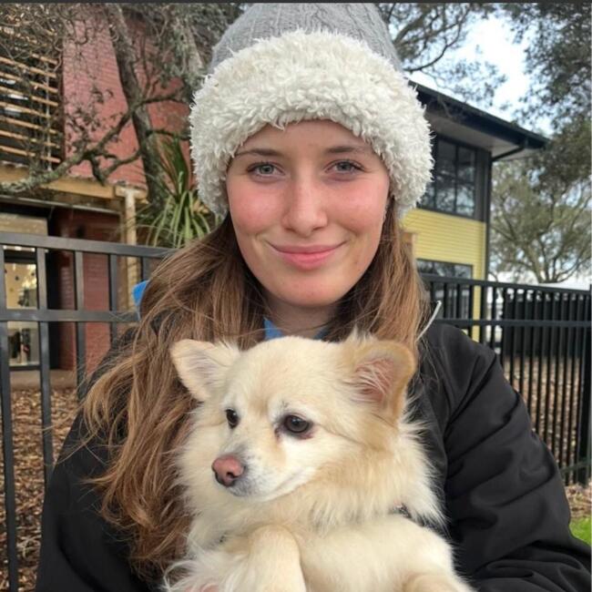 Babysitter in Auckland: Frankie