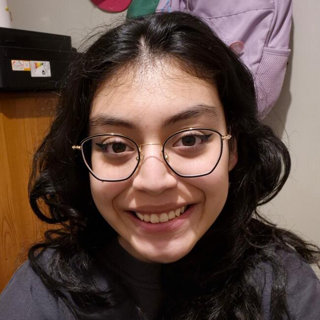 Babysitter in Villarrica: María Jesús