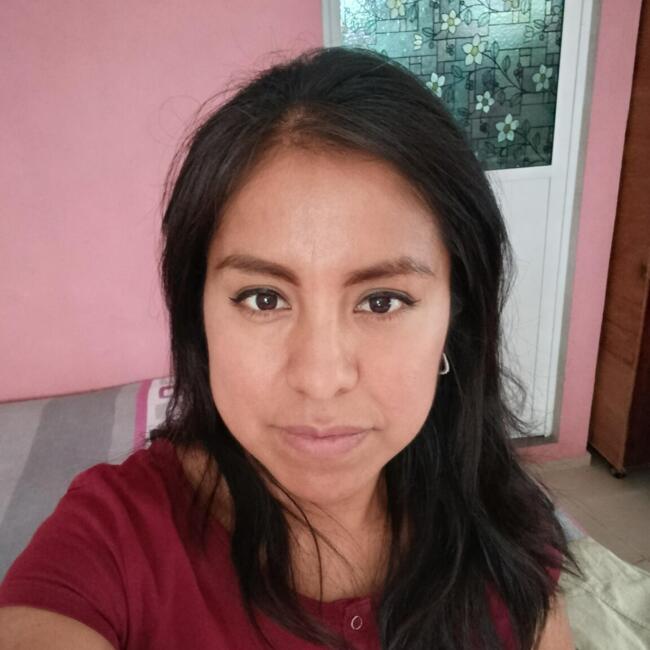 Babysitter in Milpa Alta: Araceli