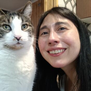 Babysitting job in Valdivia: babysitting job Angela