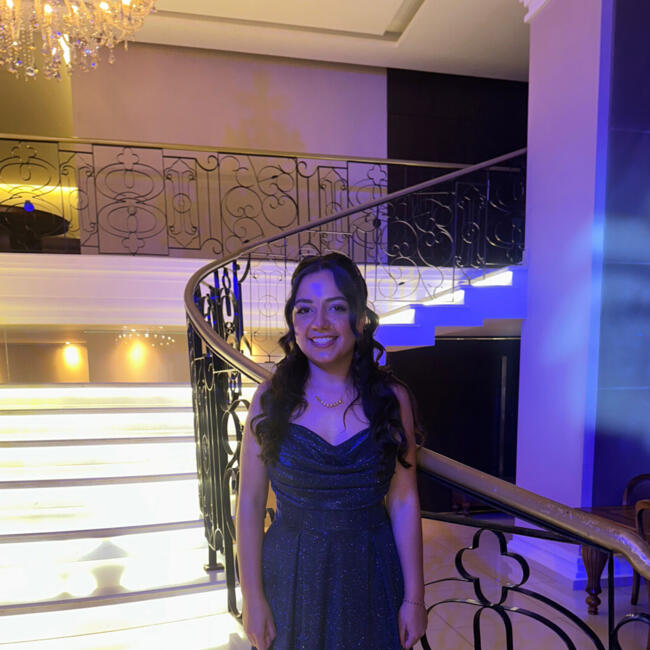 Babysitter in Diadema: Aline de Assis