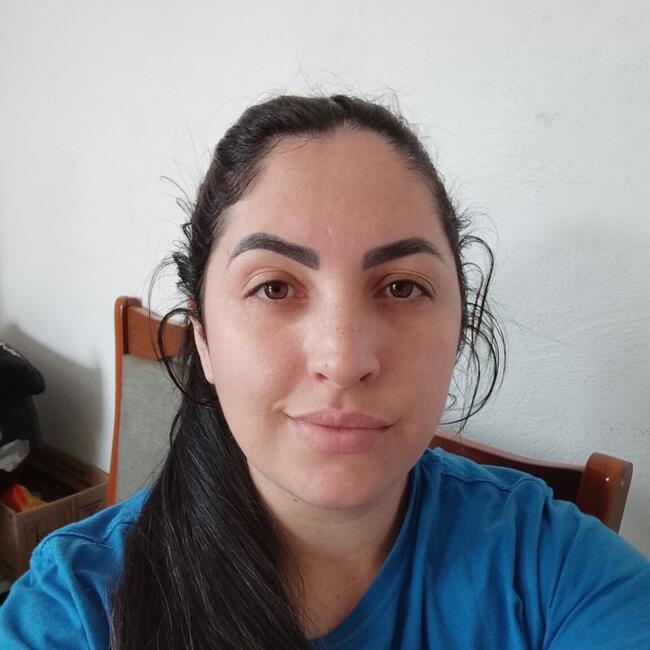 Babysitting job in São Leopoldo: Elenice