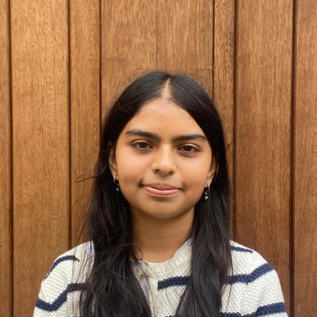 Babysitter in Leighton Buzzard: Anshu