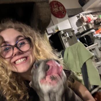 Babysitter in Saint-Hilaire-du-Harcouët: Romane