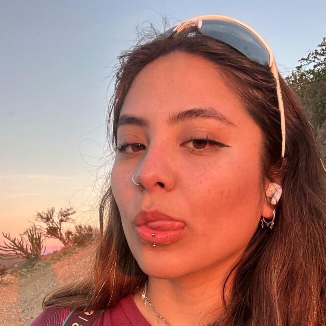 Niñera en Coquimbo: Elisa