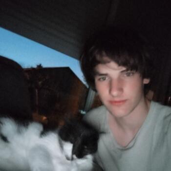 Babysitter in Albi: Antoine