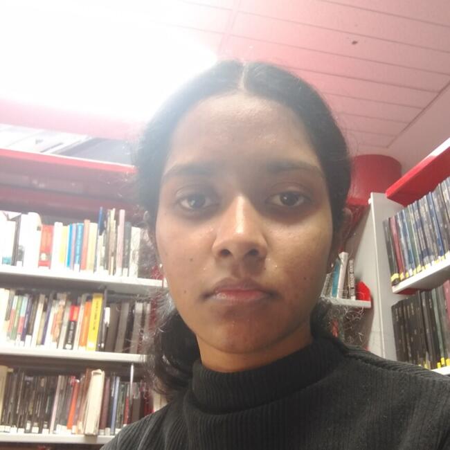 Babysitter in Lucan: NIKITHA