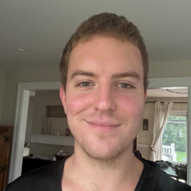 Babysitter in Merrick: Erik