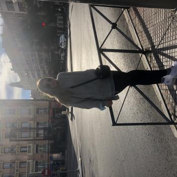 Canguro en Toledo: Irene