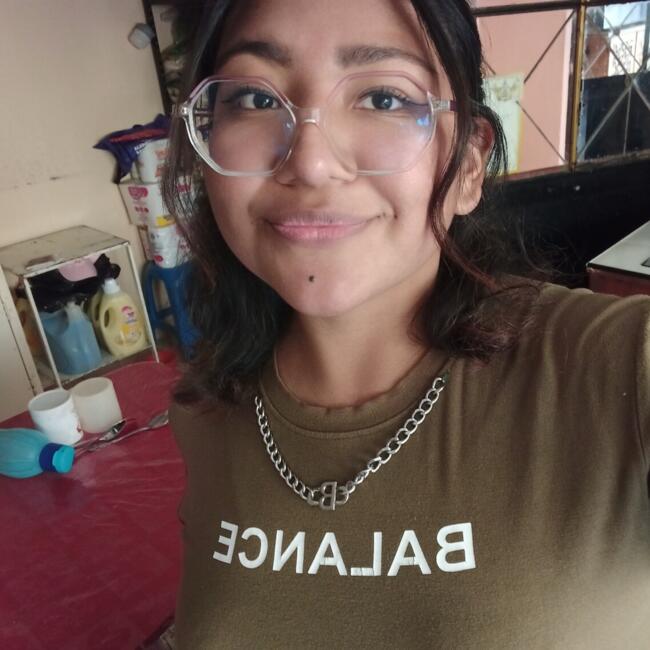 Niñera en Tlanepantla de baz: Erika