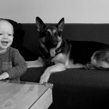 Babysit job in Oudenaarde: babysit jobs Mattie