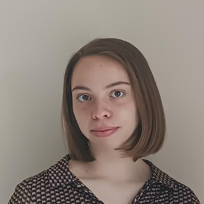 Babysitter in Lille: Romane