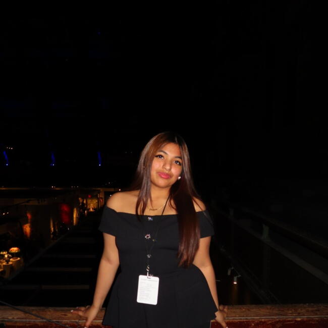 Babysitter in The Bronx: Dayami