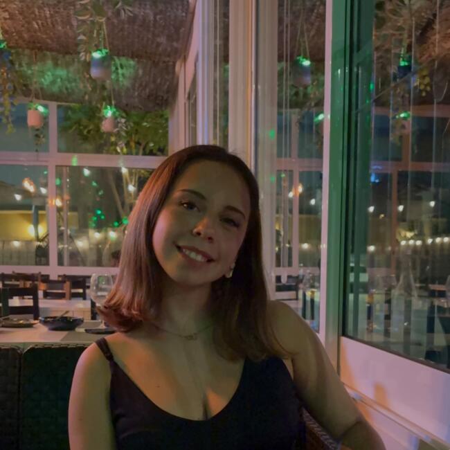 Babysitter em Seixal: Allison