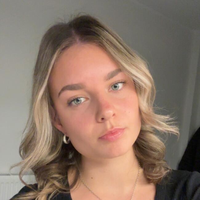 Babysitter in Christchurch: Bridie