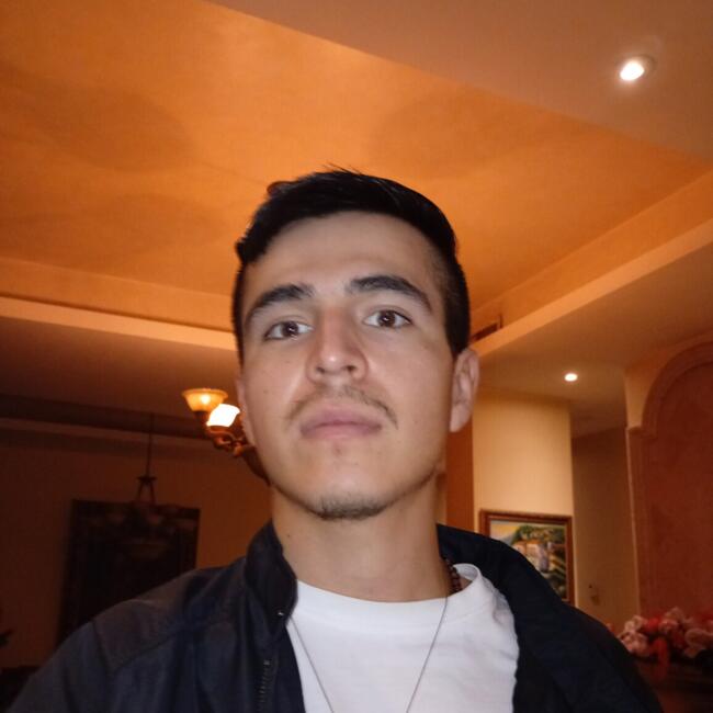 Trabajo para niñera en Hermosillo: Daniel C