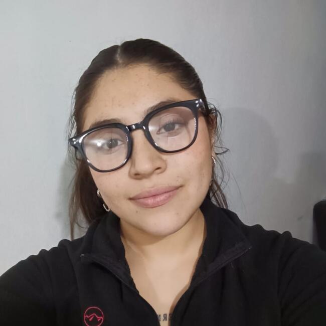 Babysitter in Port Montt: Danae Alfaro Quezada