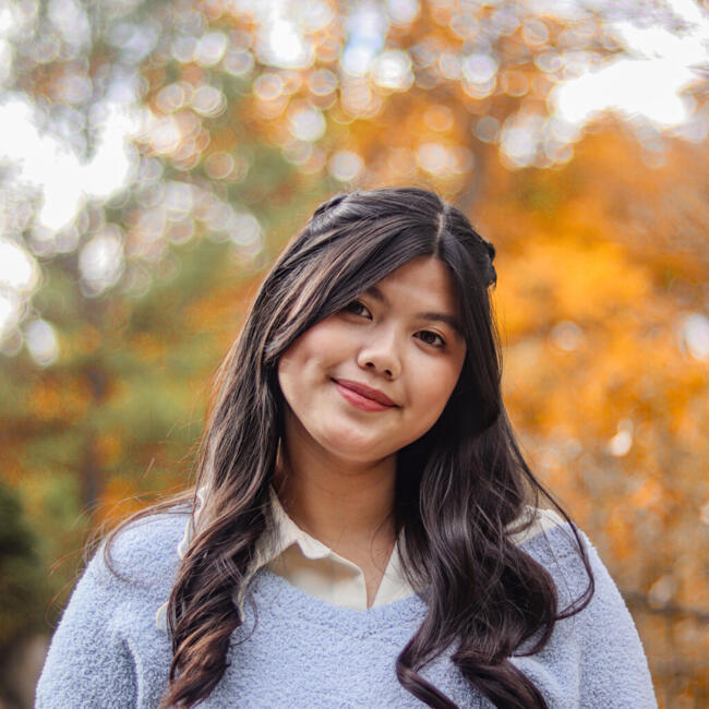 Babysitter in Mundelein: Princess