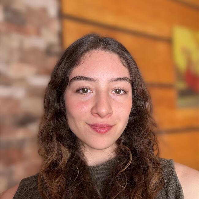 Babysitter in Valdivia: Catalina Vargas