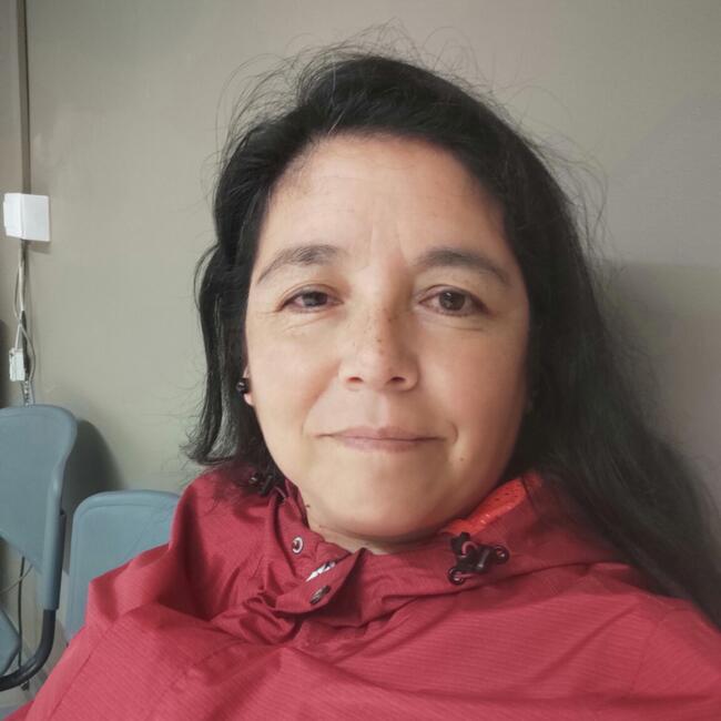 Niñera en Puerto Montt: Pamela