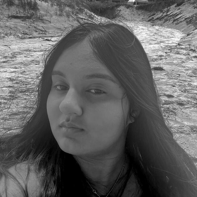 Babysitting job in São José dos Pinhais: Paola