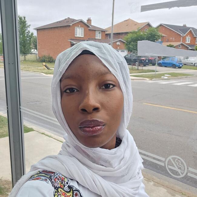 Baby-sitter in Etobicoke: Naveen