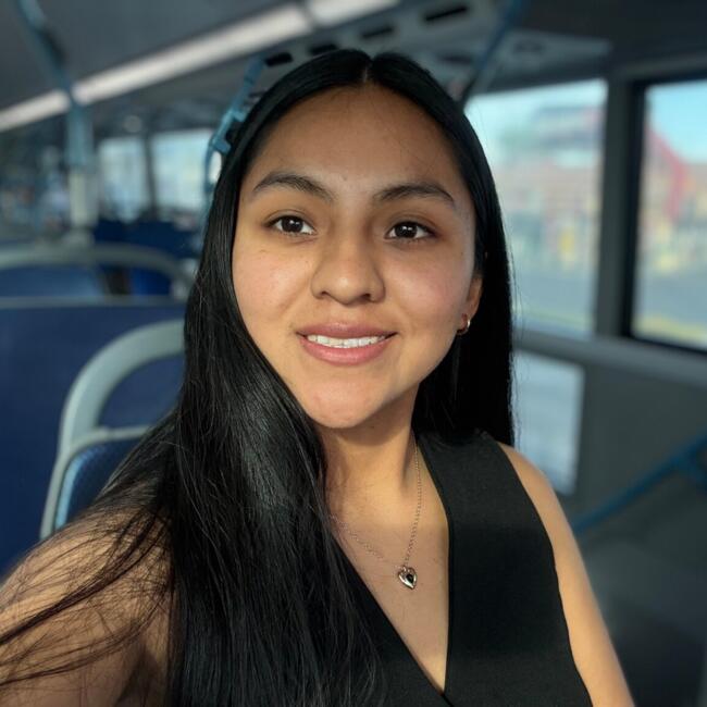 Babysitter in San Miguel: Nancy Del Valle