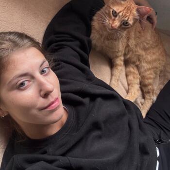 Canguro en Barcelona: Sol