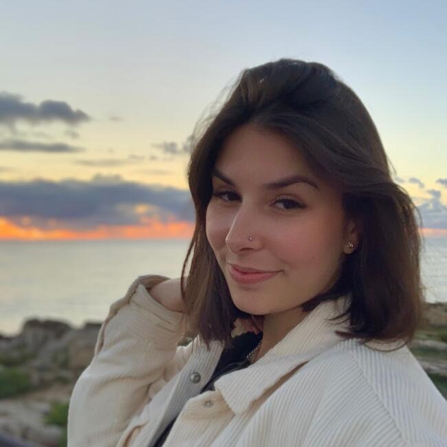 Babysitting job in Vila Franca de Xira: Sara