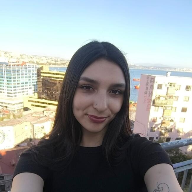 Babysitter in Quilpué: Lissett