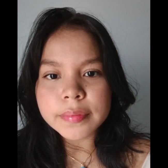 Babysitter in Santiago de Cali: Liceth