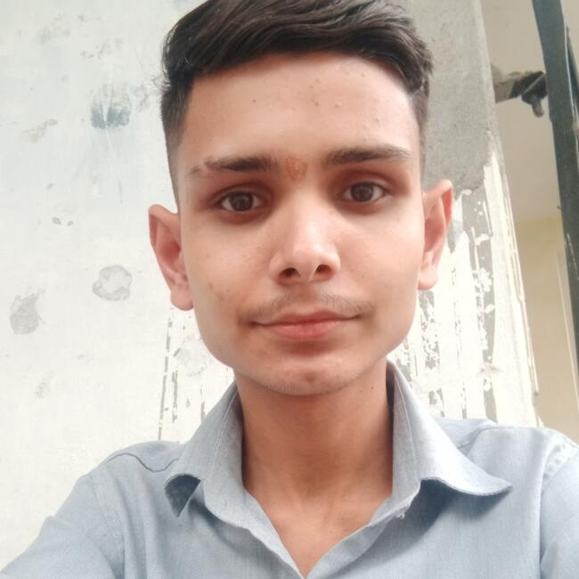 Babysitter in Chandīgarh (State of Haryāna): Ñîtîñ